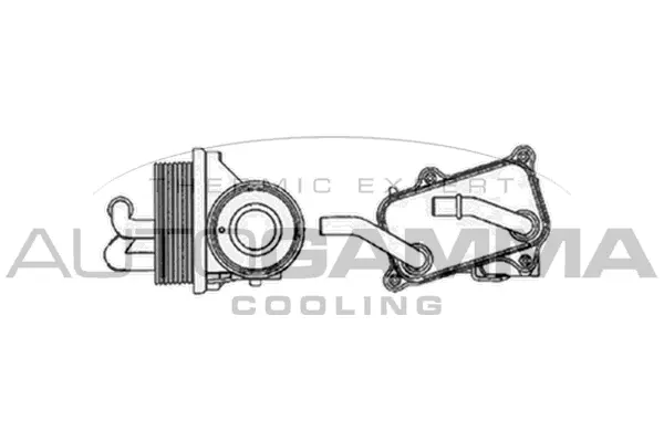 Oil Cooler, engine oil (102515)