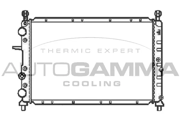 Radiator, engine cooling (100017)