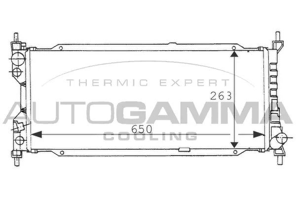 Radiator, engine cooling (100675)