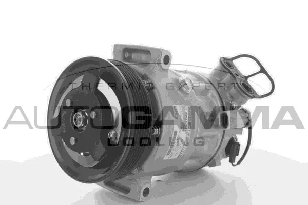 Compressor, air conditioning (118430)