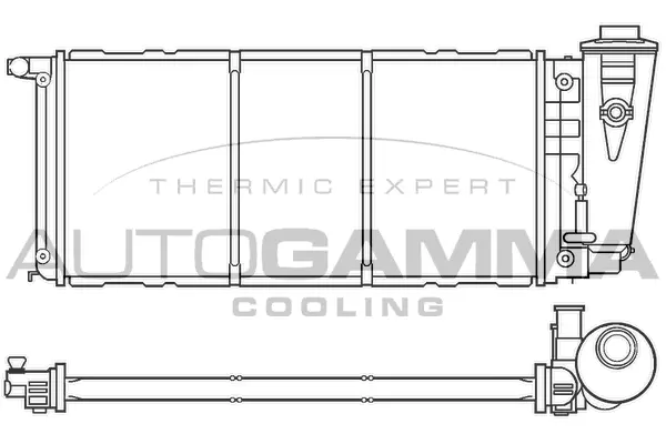 Radiator, engine cooling (100079)