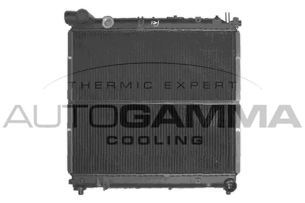 Radiator, engine cooling (101266)