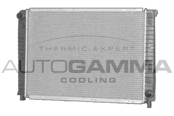 Radiator, engine cooling (102386)