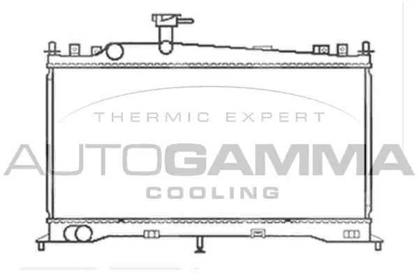 Radiator, engine cooling (103438)