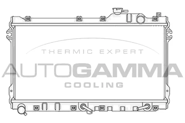 Radiator, engine cooling (105755)