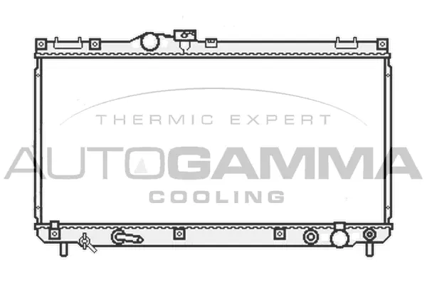 Radiator, engine cooling (107063)