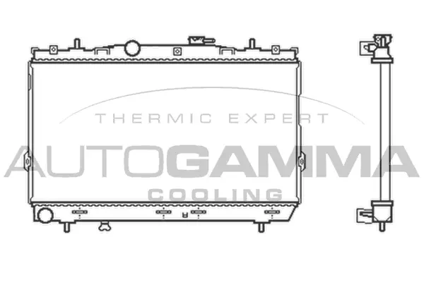 Radiator, engine cooling (104083)
