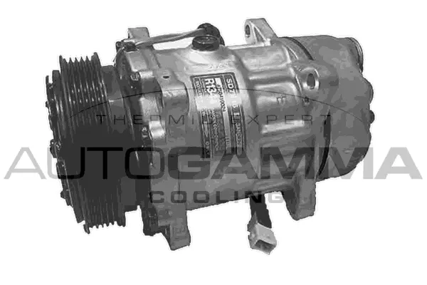 Compressor, air conditioning (108021)