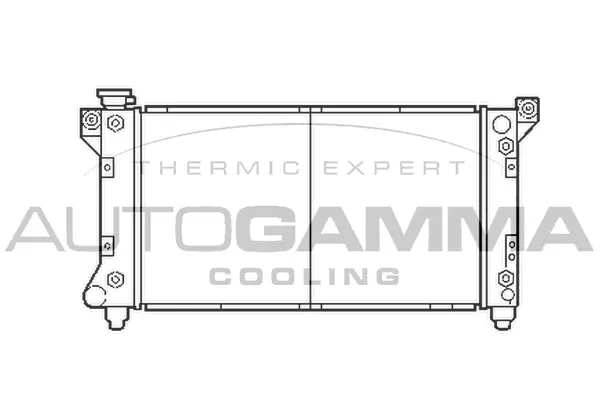 Radiator, engine cooling (103135)