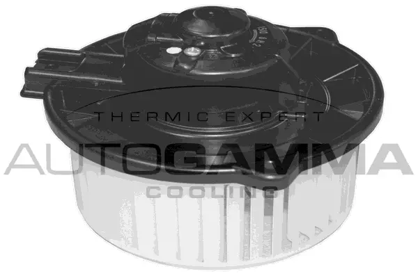 Interior Blower (GA20801)