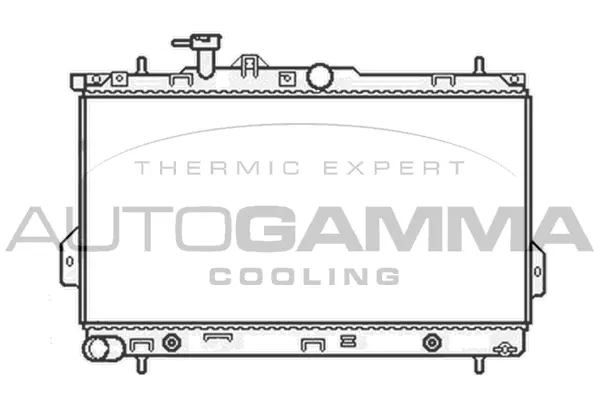 Radiator, engine cooling (104067)