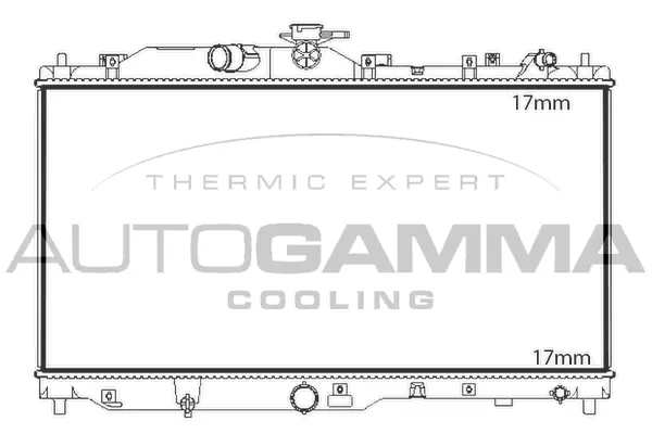 Radiator, engine cooling (107842)