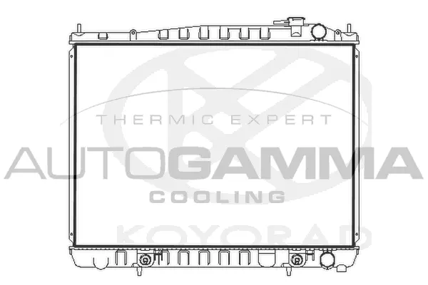 Radiator, engine cooling (107726)