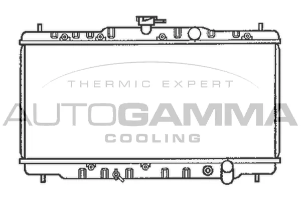 Radiator, engine cooling (102104)