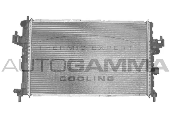 Radiator, engine cooling (102851)