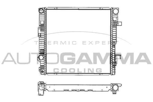 Radiator, engine cooling (401044)