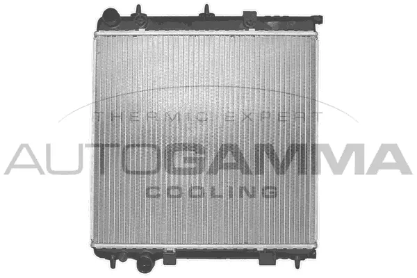 Radiator, engine cooling (102993)