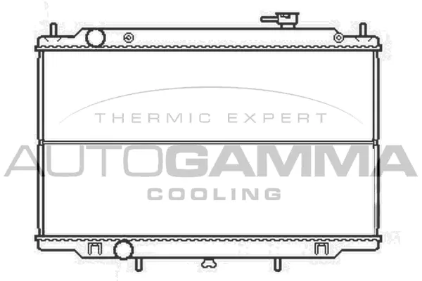 Radiator, engine cooling (105110)