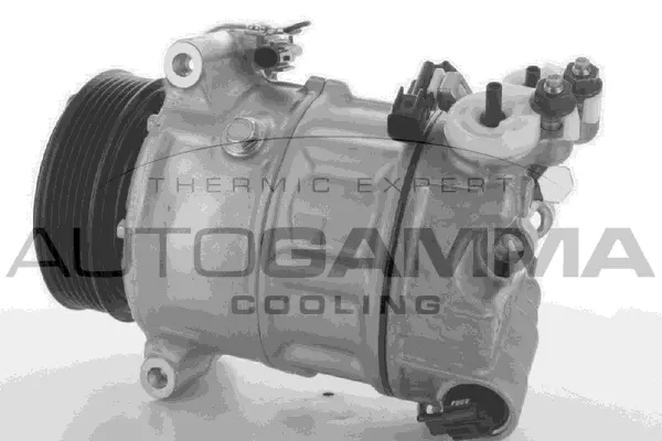 Compressor, air conditioning (118458)