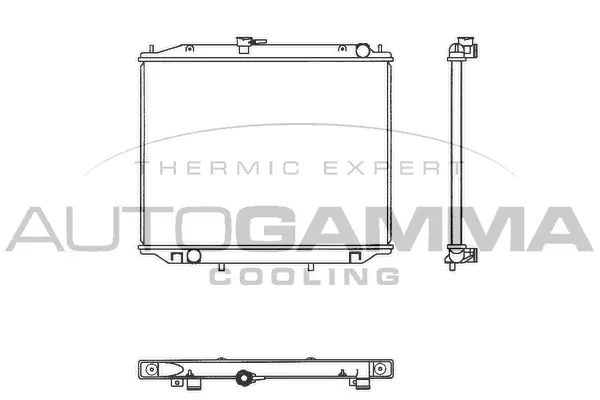 Radiator, engine cooling (102933)