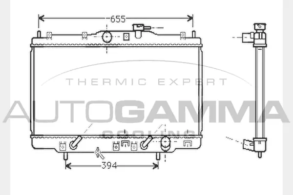 Radiator, engine cooling (104513)