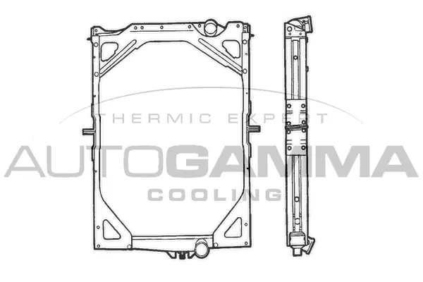 Radiator, engine cooling (400666)