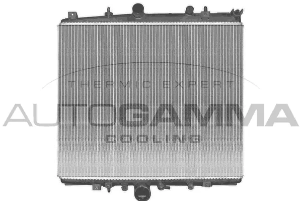 Radiator, engine cooling (103167)