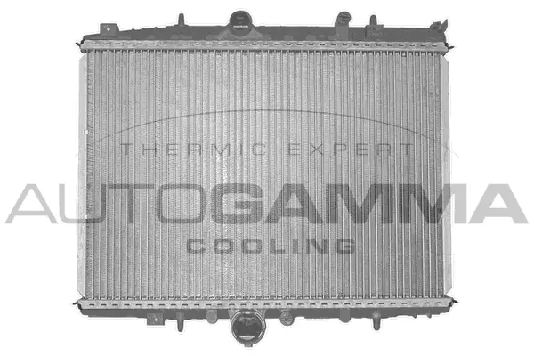 Radiator, engine cooling (101348)