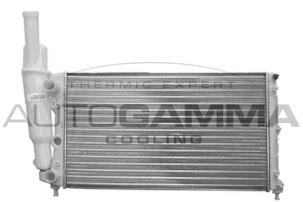 Radiator, engine cooling (100294)
