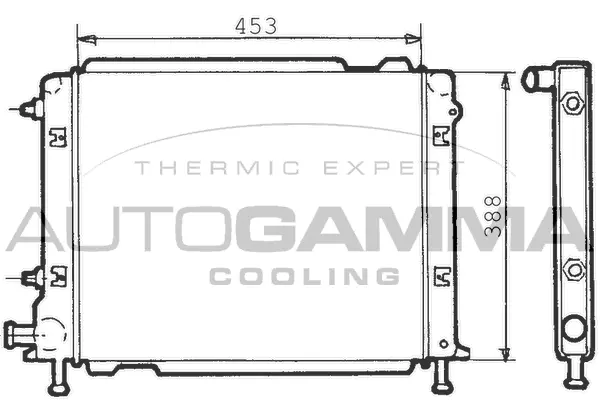 Radiator, engine cooling (100273)