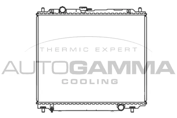 Radiator, engine cooling (107251)