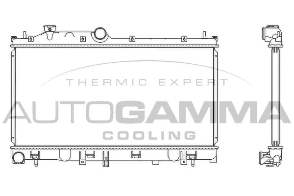 Radiator, engine cooling (107532)
