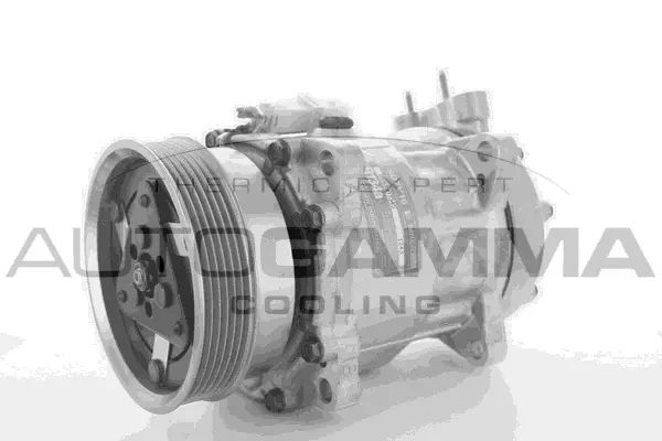 Compressor, air conditioning (118381)