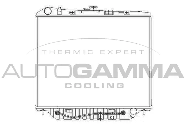 Radiator, engine cooling (101448)