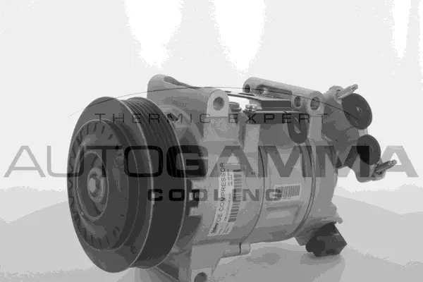 Compressor, air conditioning (118553)