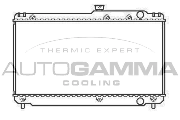 Radiator, engine cooling (104669)