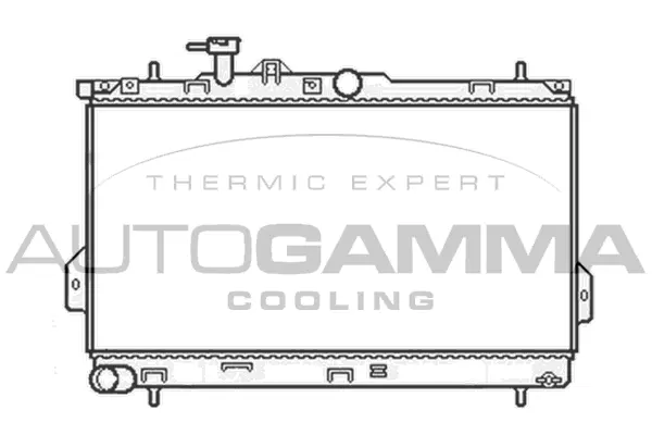 Radiator, engine cooling (104066)