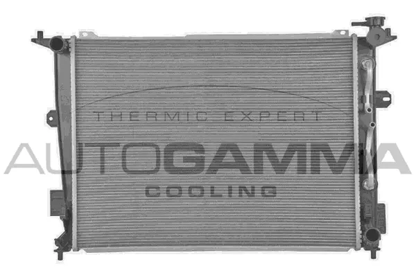 Radiator, engine cooling (107955)