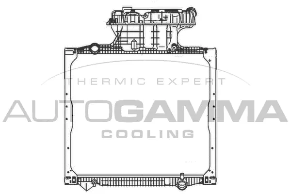 Radiator, engine cooling (404676)