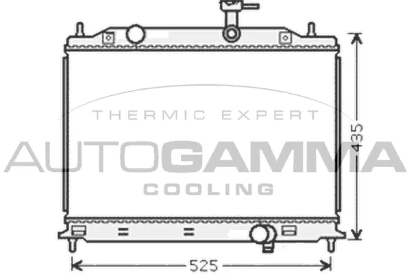 Radiator, engine cooling (104847)