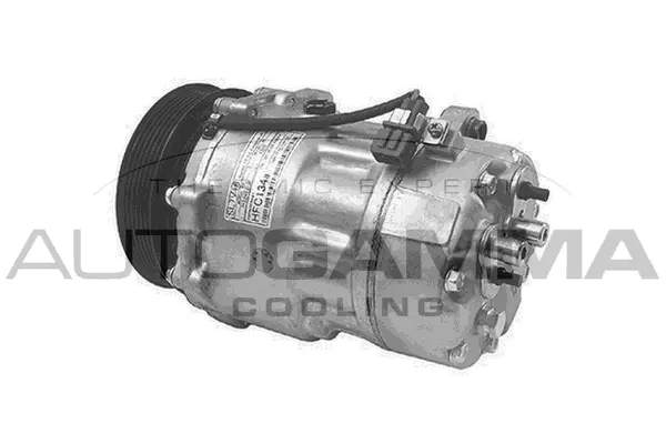 Compressor, air conditioning (108098)