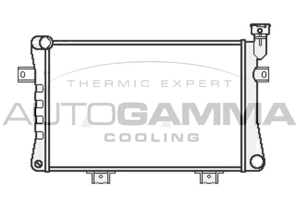 Radiator, engine cooling (107034)