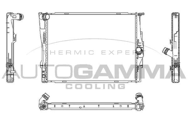 Radiator, engine cooling (107448)