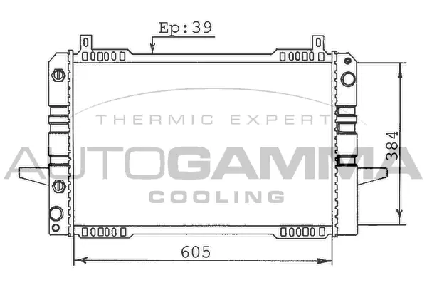 Radiator, engine cooling (100382)