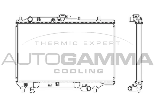 Radiator, engine cooling (100490)