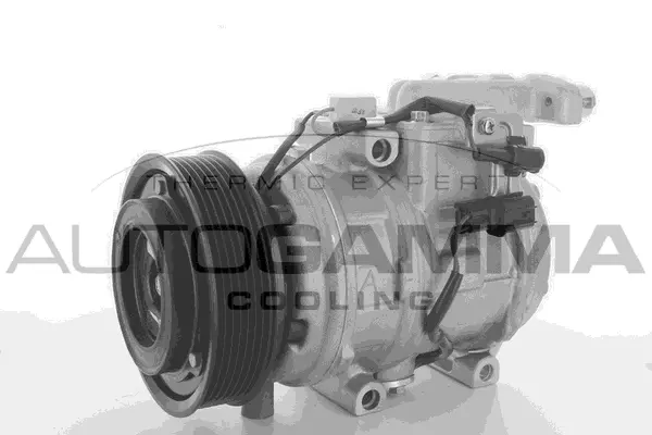 Compressor, air conditioning (118461)
