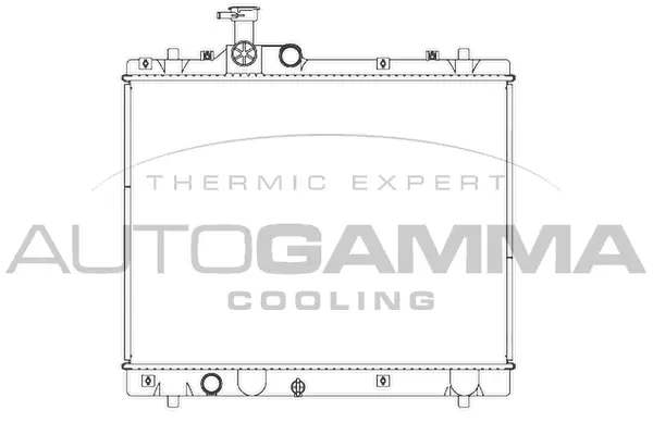 Radiator, engine cooling (107282)