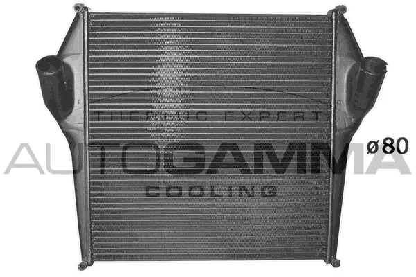 Charge Air Cooler (402066)
