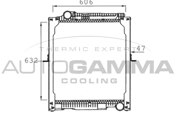 Radiator, engine cooling (401462)