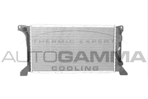 Radiator, engine cooling (101200)
